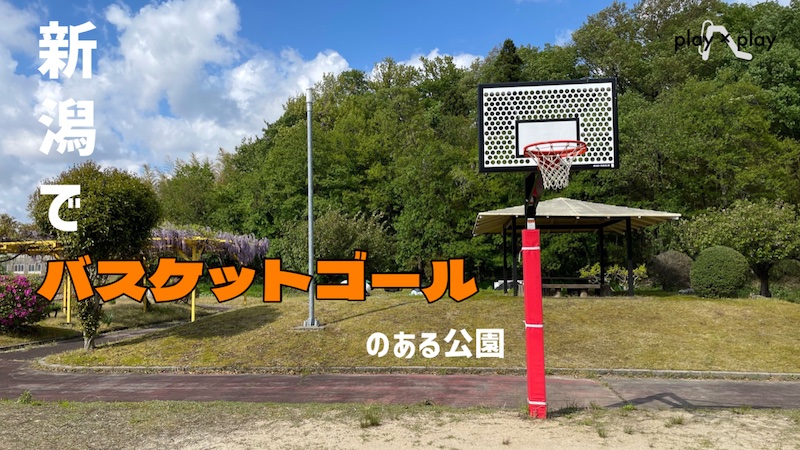 バスケットゴールのある公園　サムネイル　800